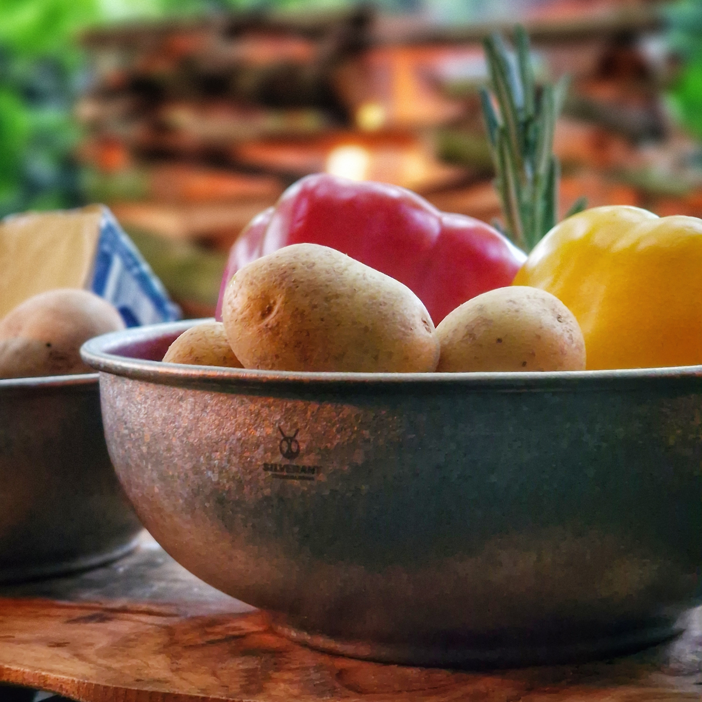 SilverAnt Titanium Camping Bowls - Crystallized Finish