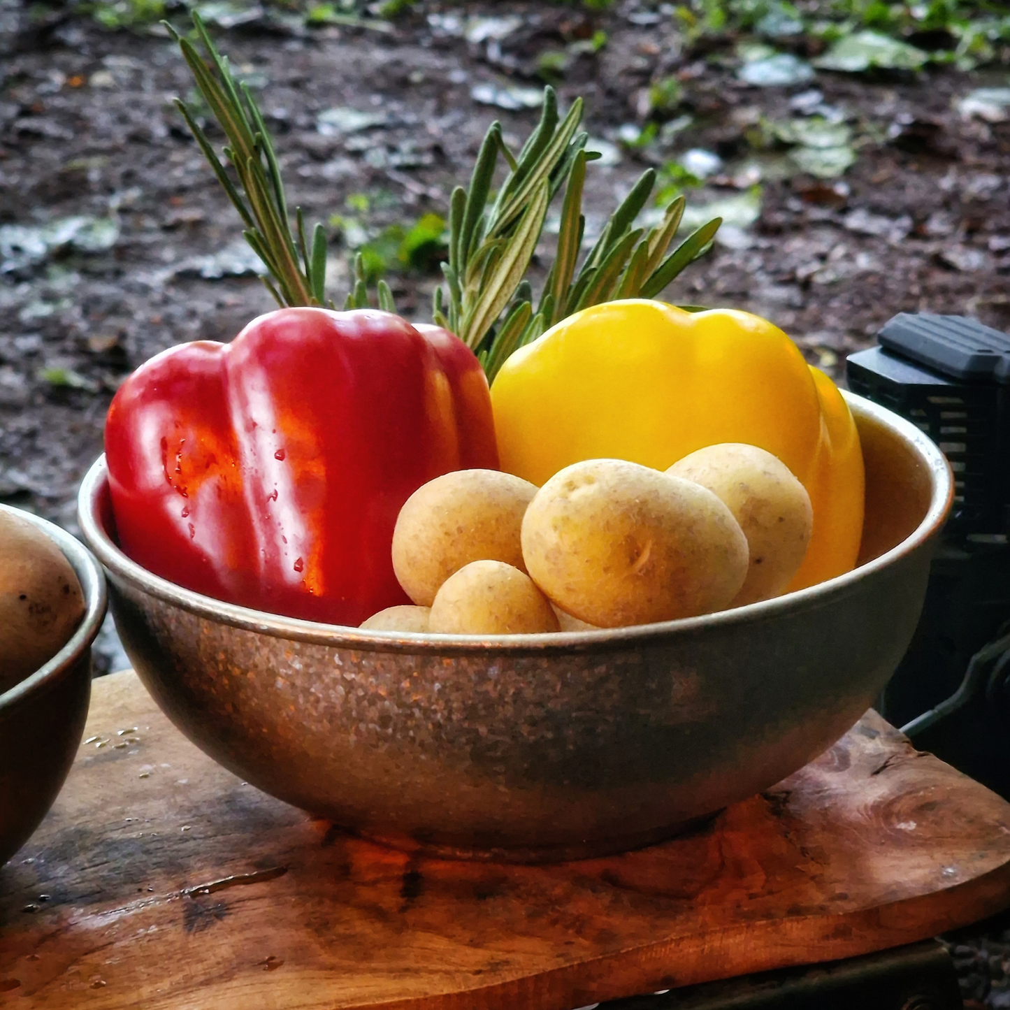 SilverAnt Titanium Camping Bowls - Crystallized Finish