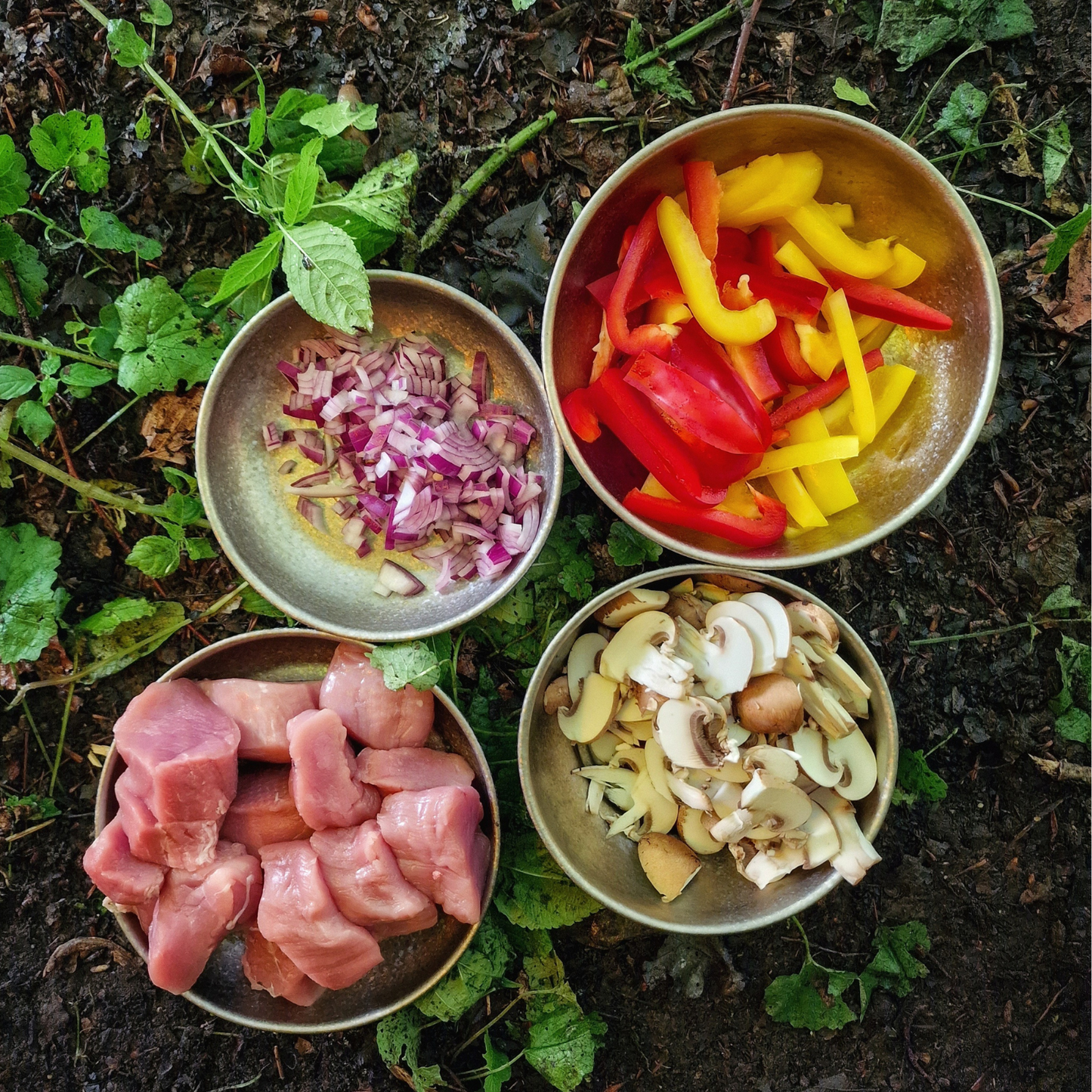SilverAnt Titanium Camping Bowls & Plates - Crystallized Finish