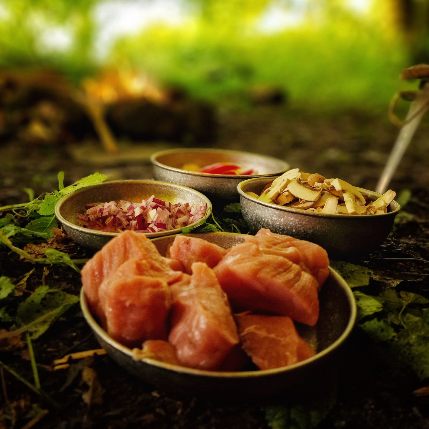 SilverAnt Titanium Camping Bowls & Plates - Crystallized Finish