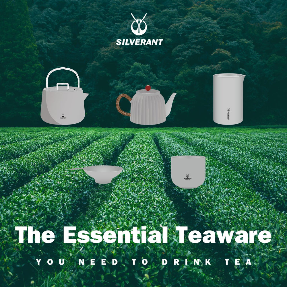 The Essential Teaware You Need to Drink Tea