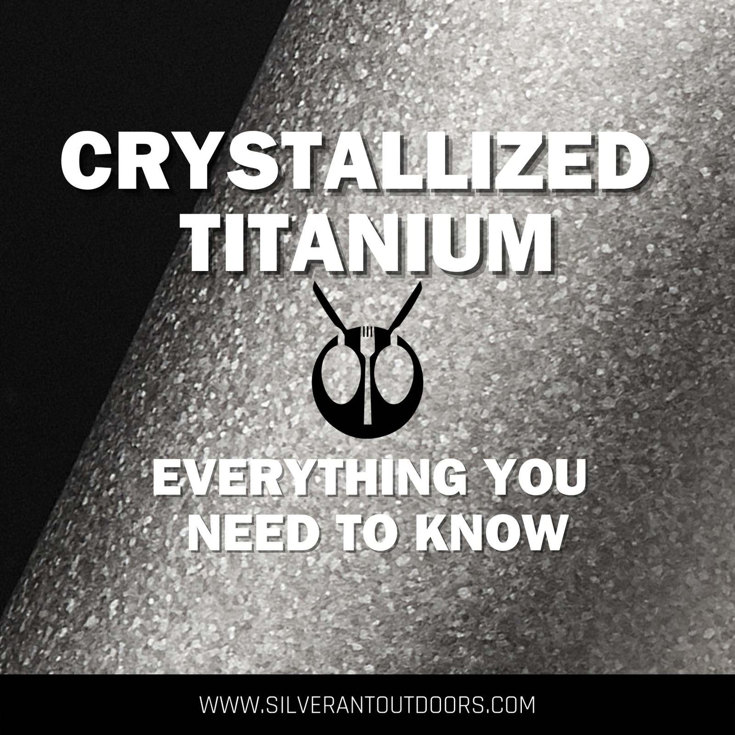 SilverAnt Crystallized Titanium Article Banner Image