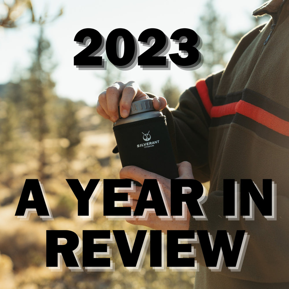 SilverAnt -  2023 A Year in Review Blog Cover