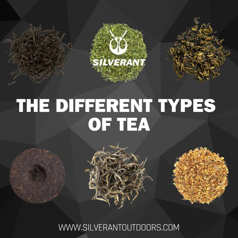 The Different Types of Tea