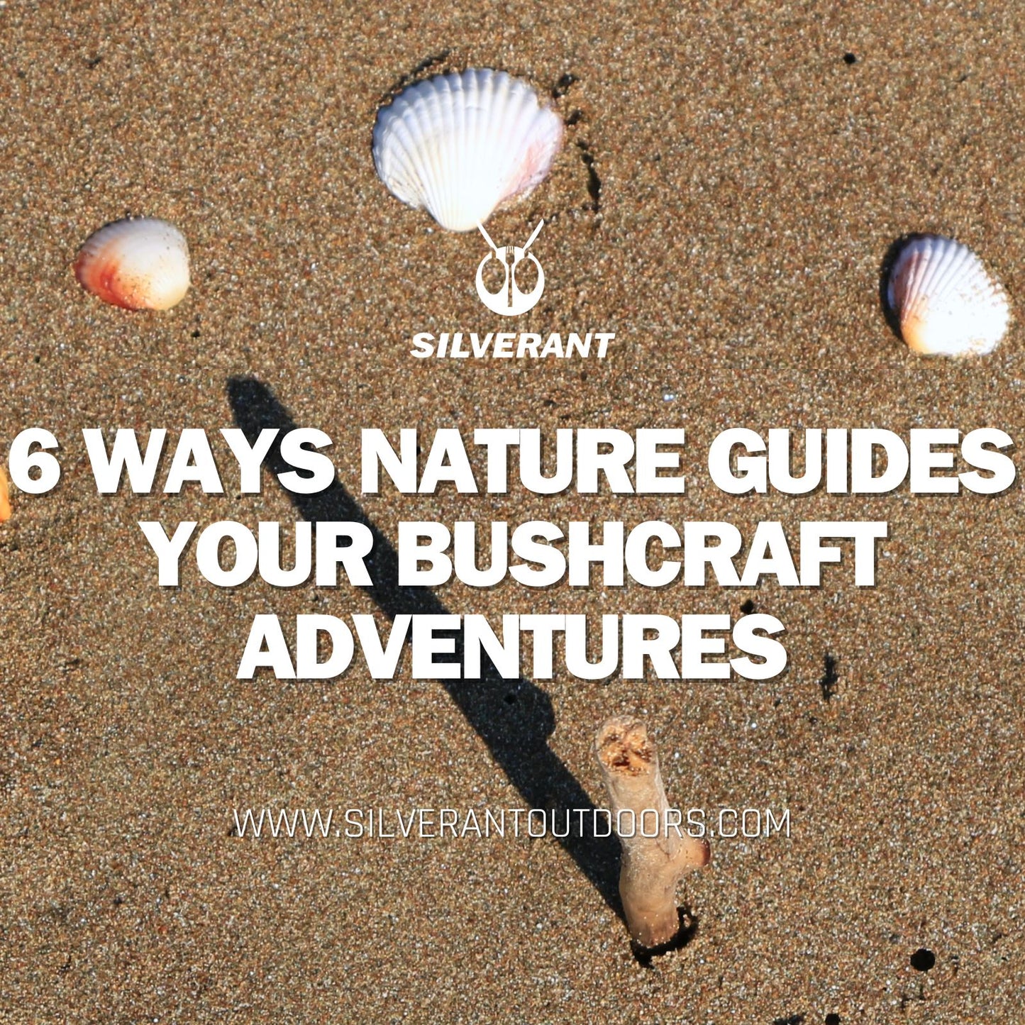 6 Ways Nature Guides Your Bushcraft Adventures - SilverAnt Outdoors