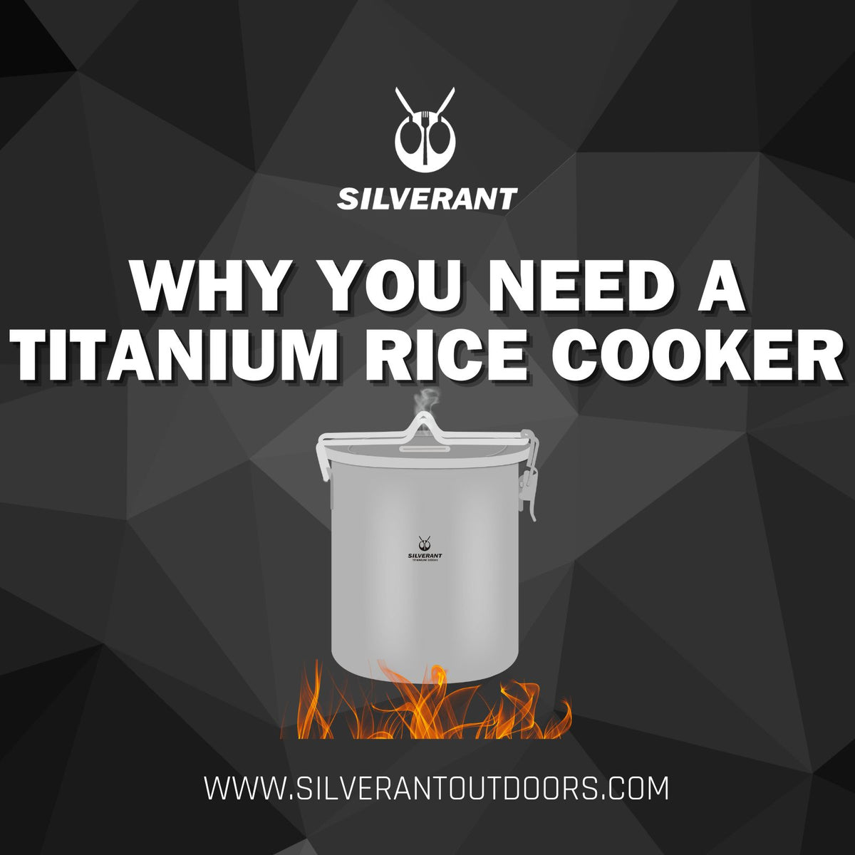 Why You Need A Titanium Rice Cooker in 2024 | SilverAnt Outdoors