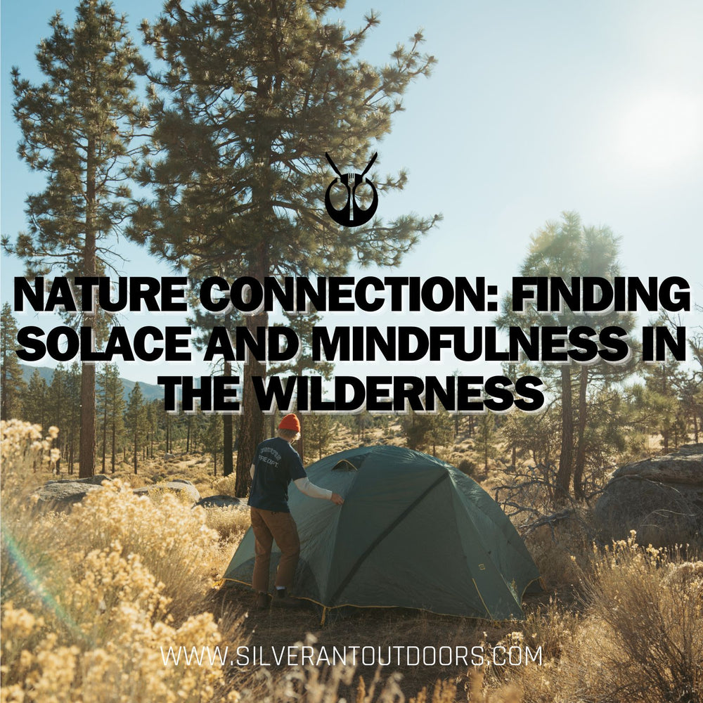 Nature Connection: Finding Solace and Mindfulness in the Wilderness