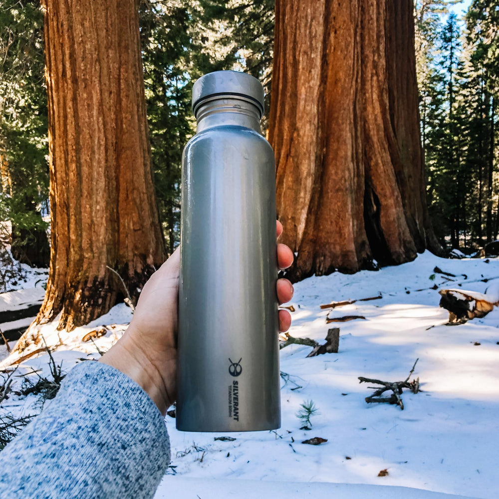 SilverAnt Outdoors Titanium Water Bottle With Sequoia Tree Background