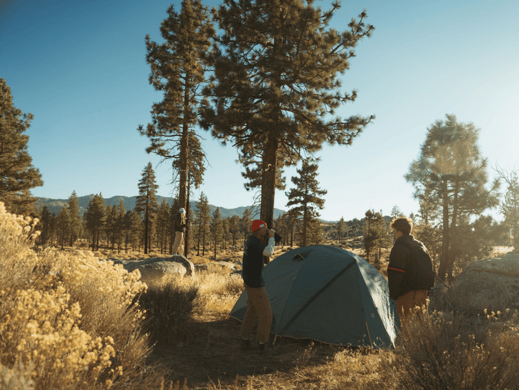SilverAnt Titanium Camping Gear