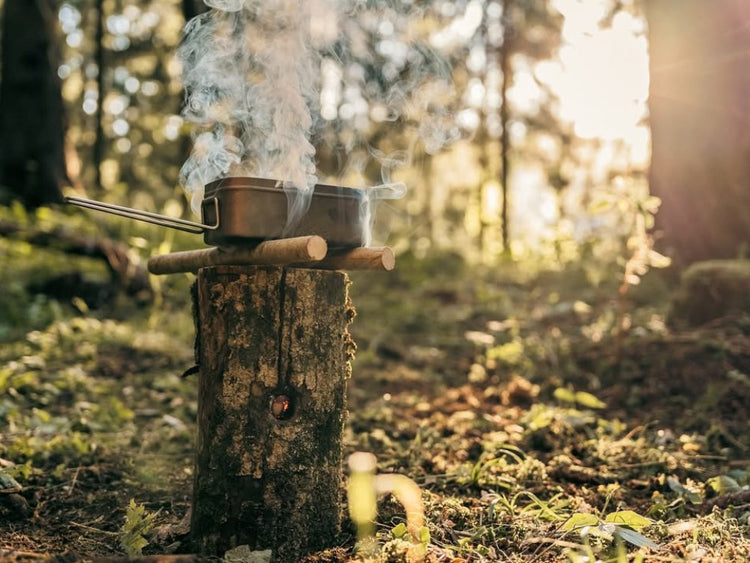 Small stove on a log with smoke in a forest setting