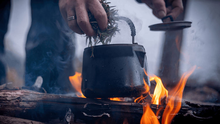 SilverAnt Titanium Kettle