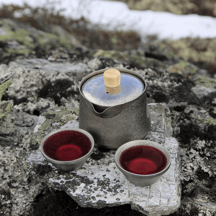 
                  
                    SilverAnt Crystallized Titanium Breeze Travel Teapot & Cups Set - actual product photo, real life use, in use, lifestyle shot
                  
                