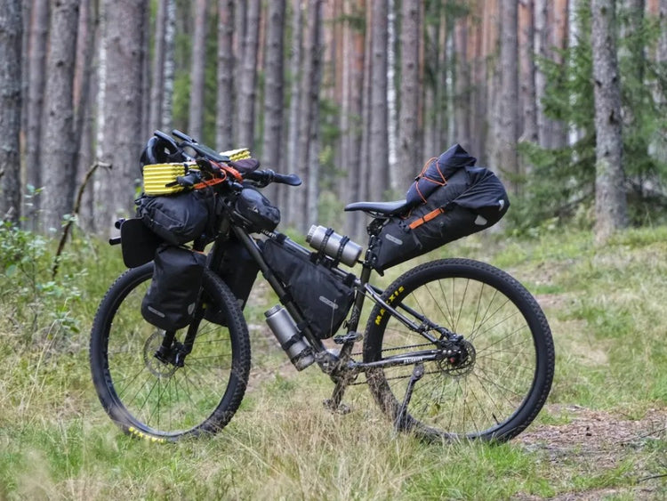 Bicycle with bikepacking gear in a forest setting