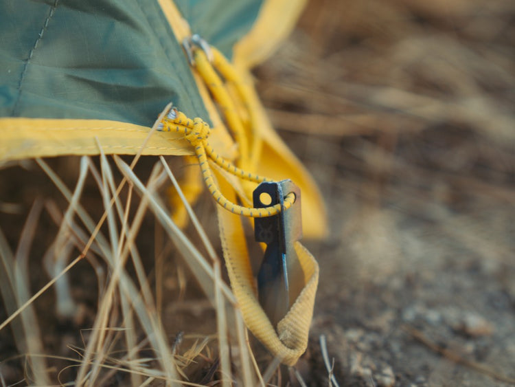 SilverAnt titanium tent stake pushed in ground with tent 