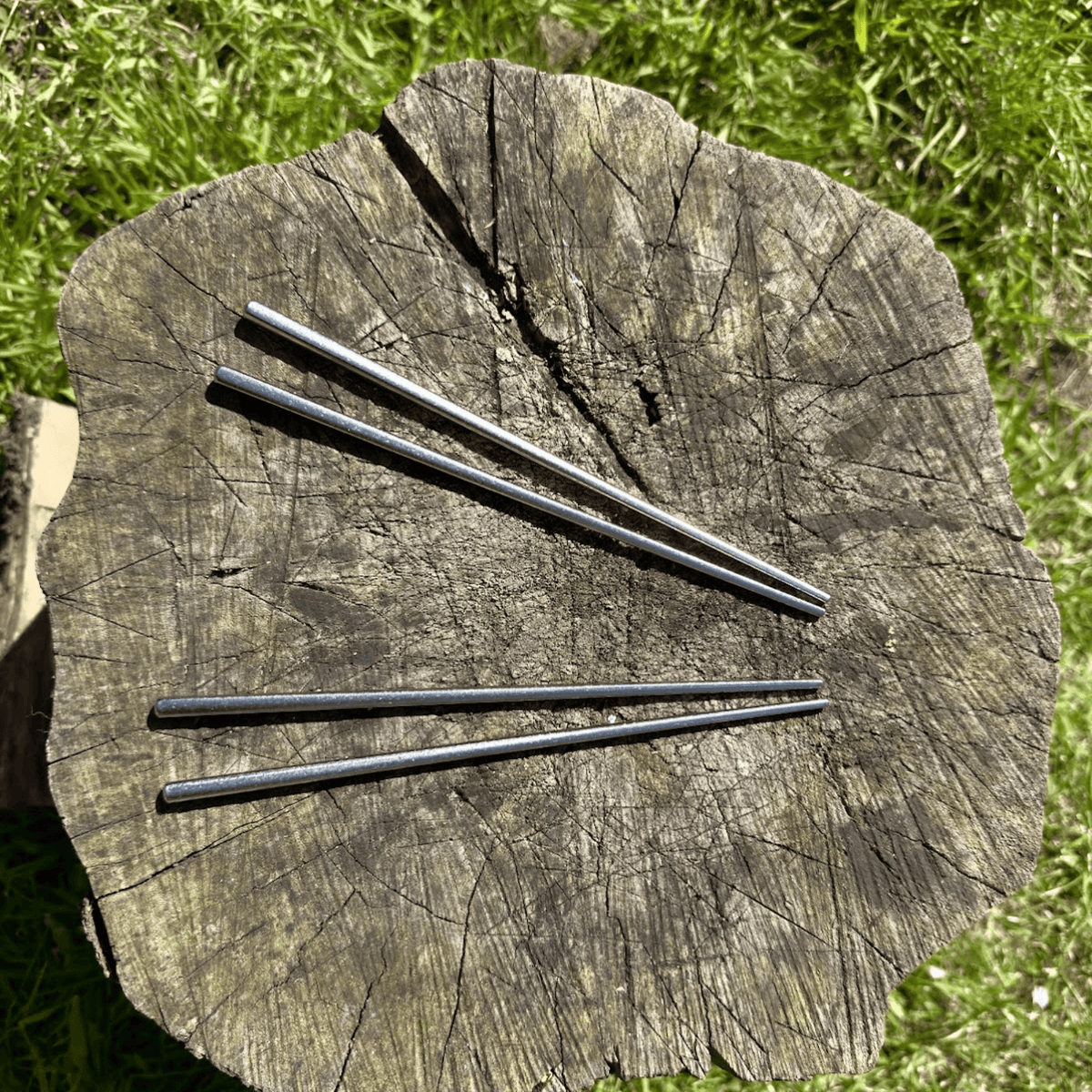 SilverAnt Ultralight Titanium Crystallized Chopsticks - actual product photo, top angle view, laid on a wood stump, real life, lifestyle photo