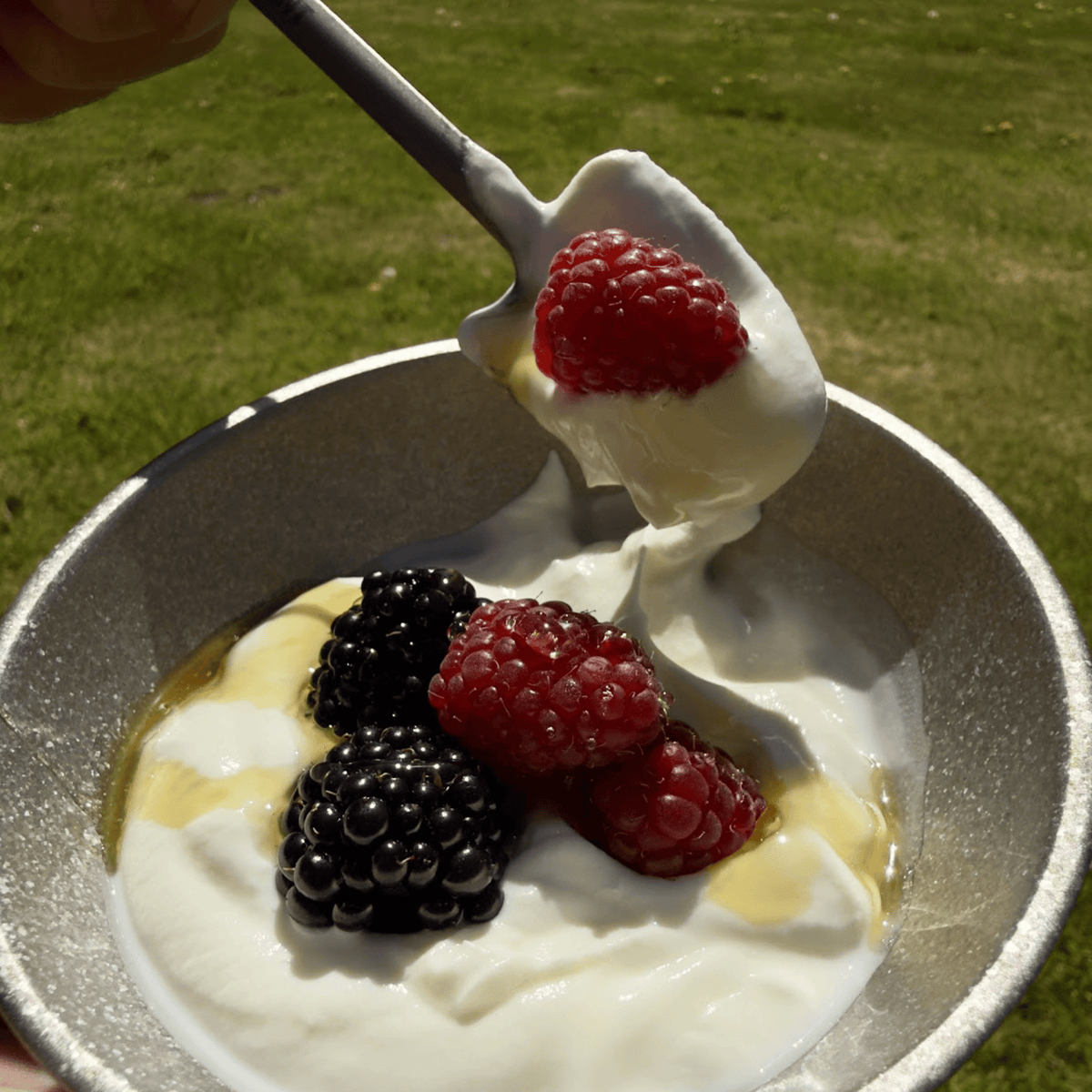 SilverAnt Ultralight Titanium Double-Wall Bowl Crystallized - In-Use (eating fruits)