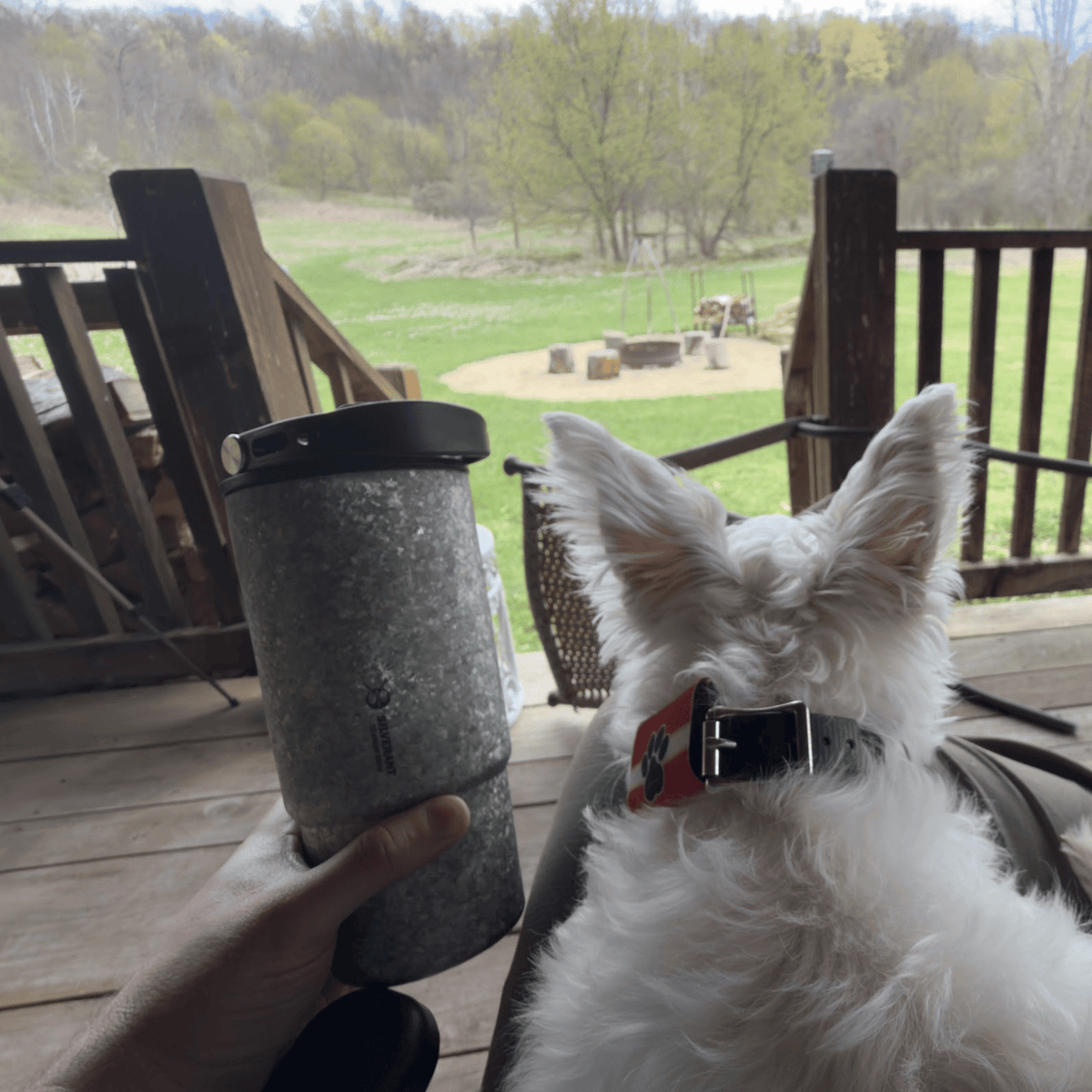 SilverAnt Crystallized Titanium Insulated Tumbler 880ml / 29.76 fl oz - Seafoam Green with black lid on, on the porch with a dog