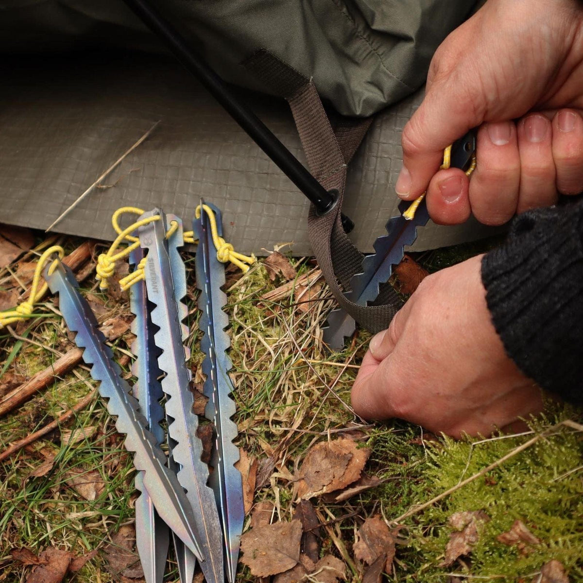 Titanium Y-Shape Tent Stakes - Large 6-Pack - SilverAnt Outdoors (Actual product photo, close-up, in-use, staking it in grassy ground to secure tent)