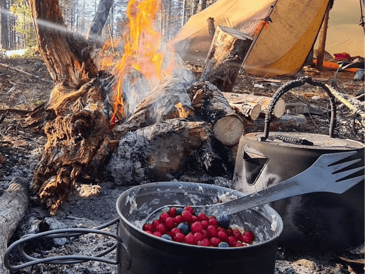 SilverAnt Sustainability and Responsibility Page 