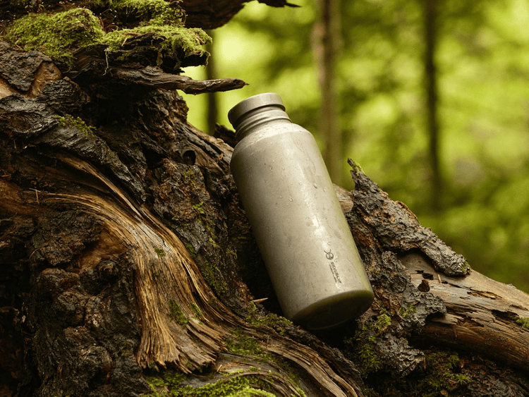 SilverAnt Sustainability and Responsibility Page 