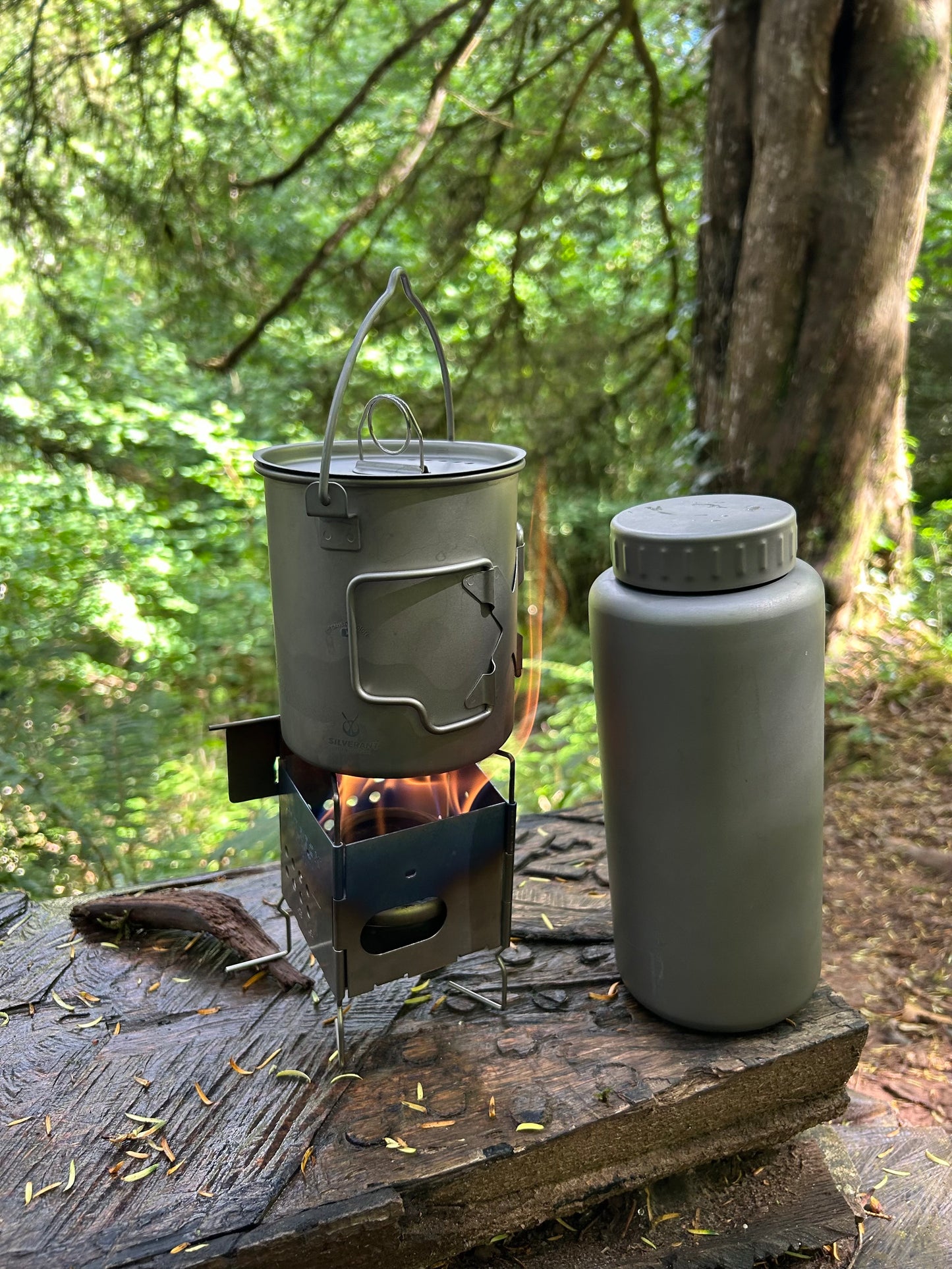 
                  
                    SilverAnt Titanium Wide Mouth Bottle
                  
                