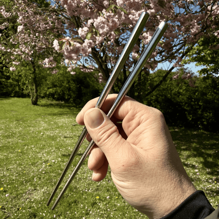 
                  
                    SilverAnt Ultralight Crystallized Titanium Chopsticks
                  
                