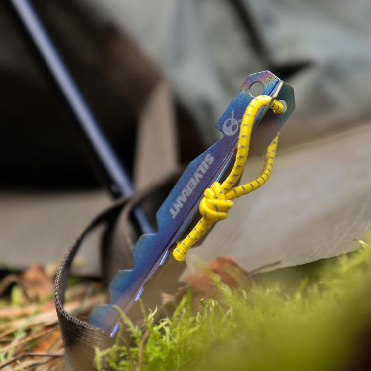 
                  
                    Titanium Y-Shape Tent Stakes - Large 6-Pack - SilverAnt Outdoors
                  
                