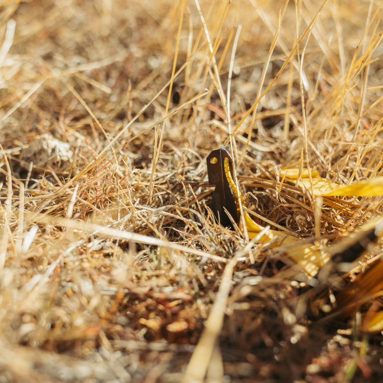 
                  
                    SilverAnt Outdoors Ultralight Y-Shape Titanium Tent Stake
                  
                